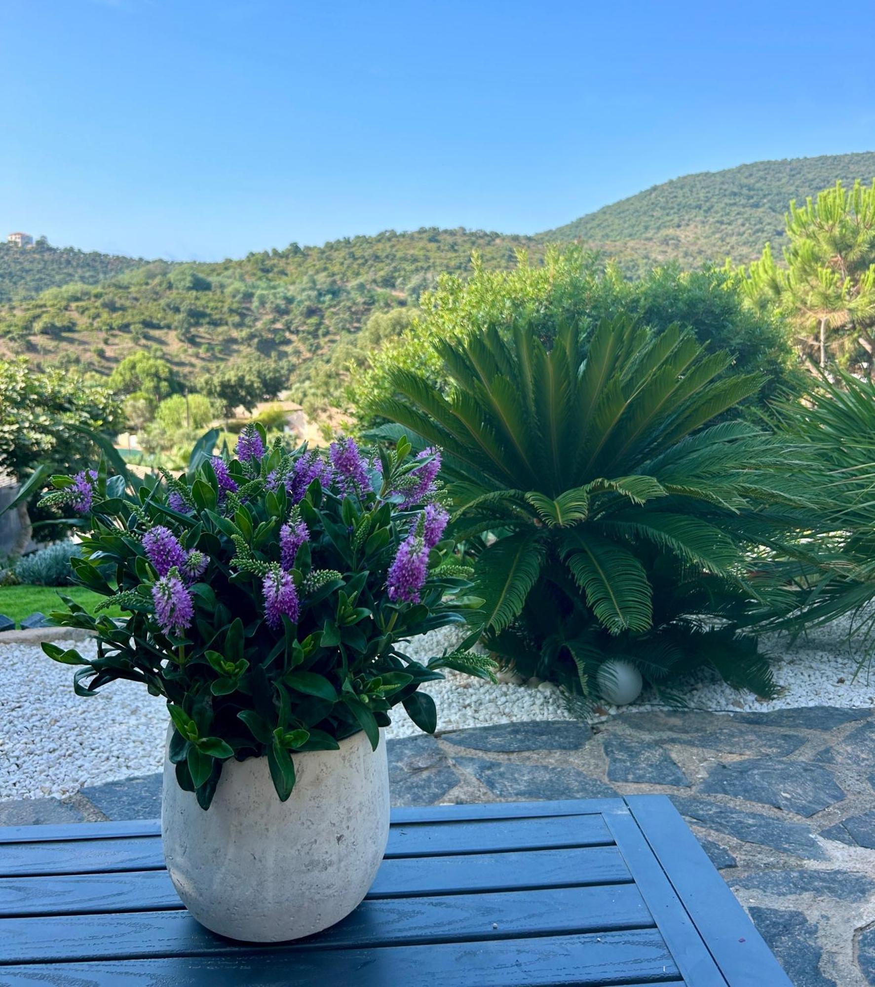 Belle Chambre Privee Avec Le Jardin Privatif Et Le Jacuzzi Cavalaire-sur-Mer Eksteriør billede